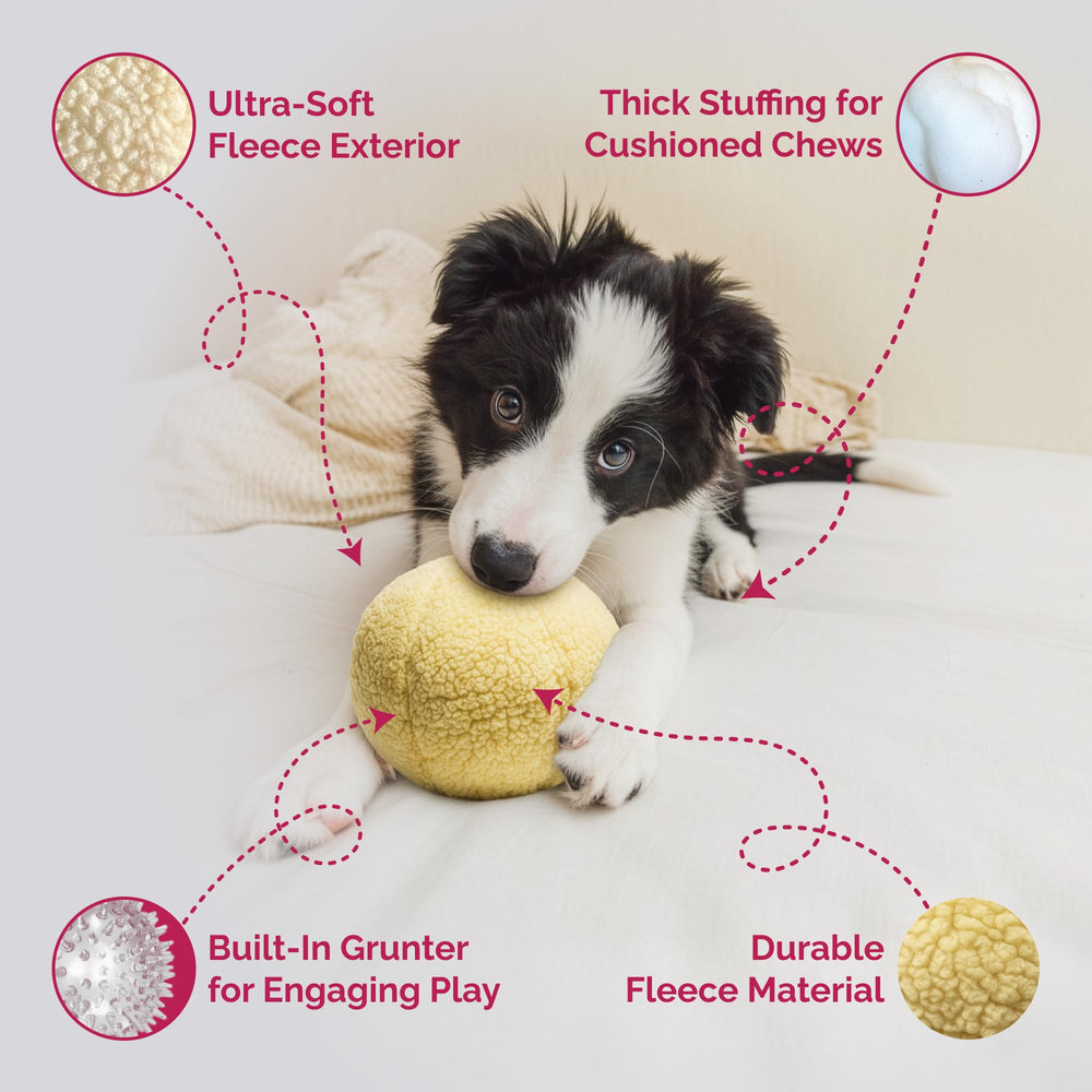 Pet Lou grunter sound toy adds responsive cue for active engagement
