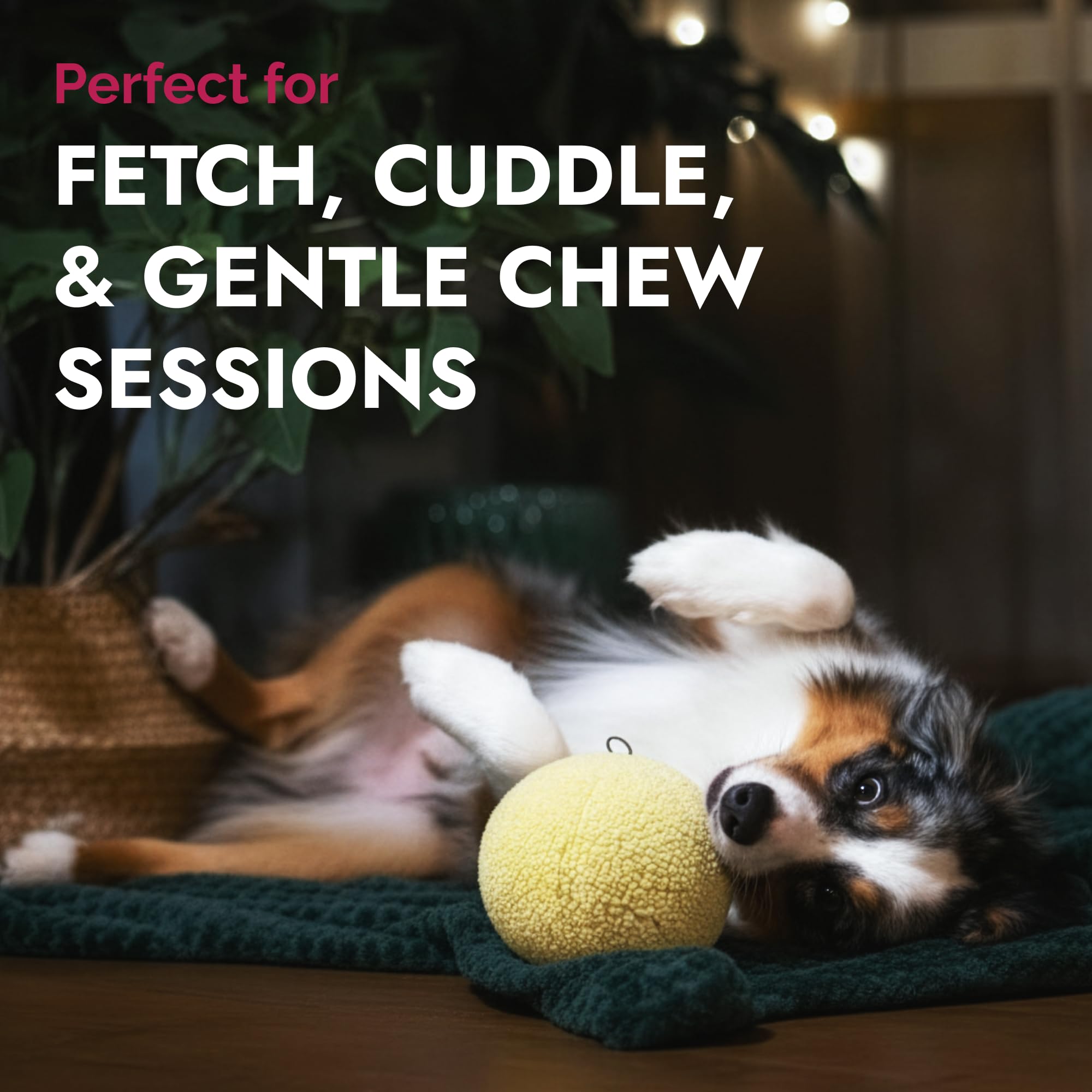 Pet Lou interactive play feature emphasizes multi-sensory engagement