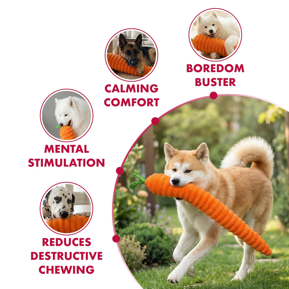Pet Lou Luxe Carrot toy with squeakers inside for engaging sound.