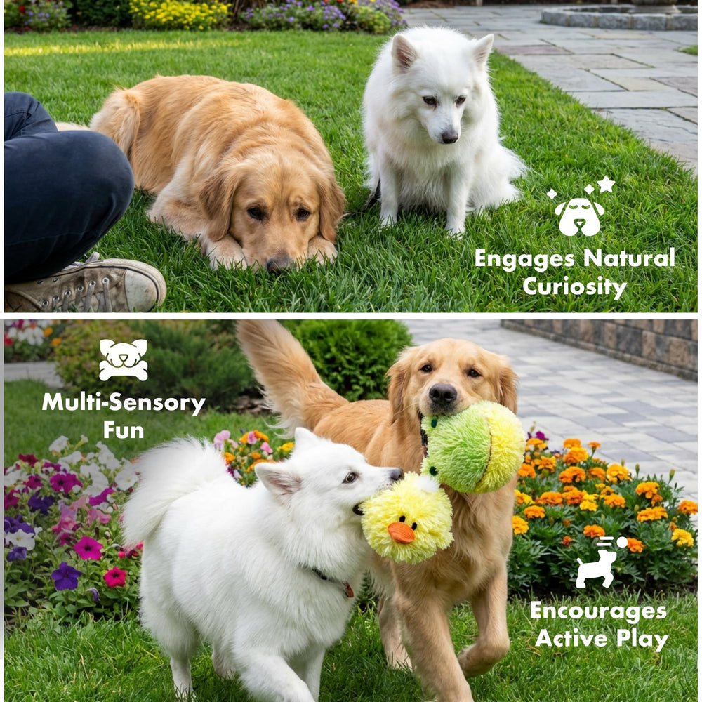 Pet Lou water floating plush ball ideal for poolside fetch