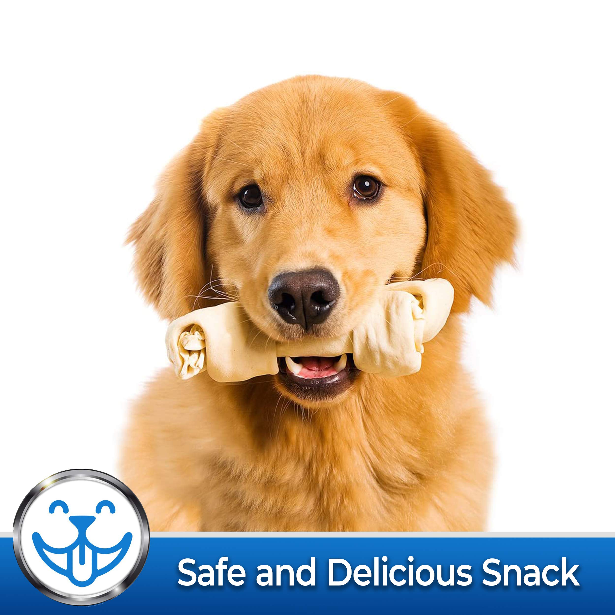 PET MAGASIN 10-count bag for small dogs, convenient daily chew