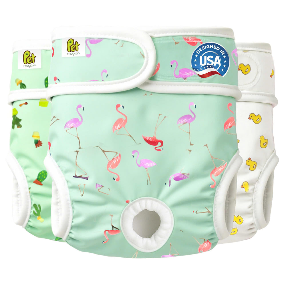 PET MAGASIN super absorbent reusable diapers on a female dog in heat, offering reliable protection.