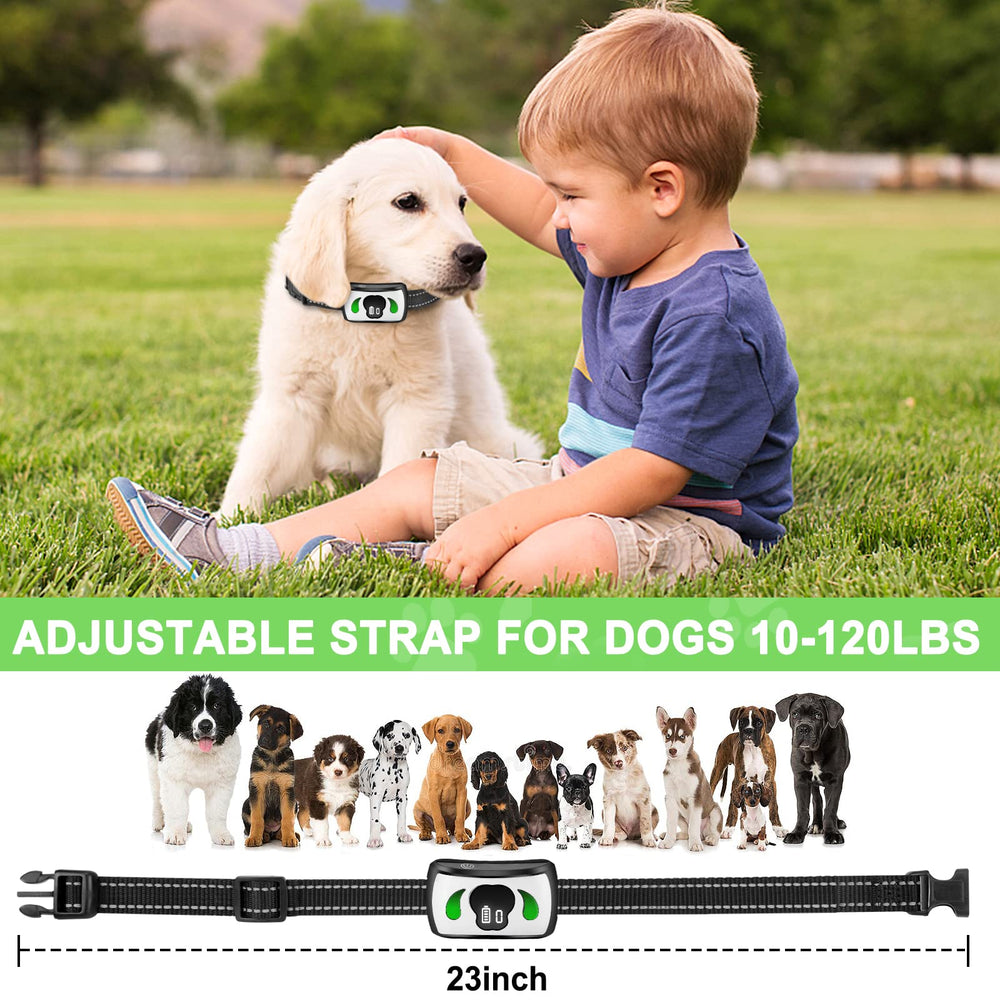 Pet Manka collar is suitable for indoor and outdoor use