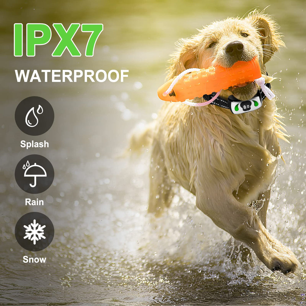 Pet Manka long-lasting battery supports extended training sessions