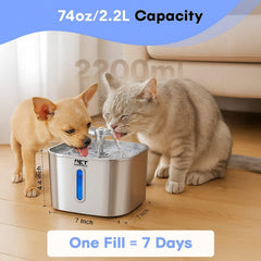 Pet Marvels 2.2L fountain ensures fresh water for one cat between refills