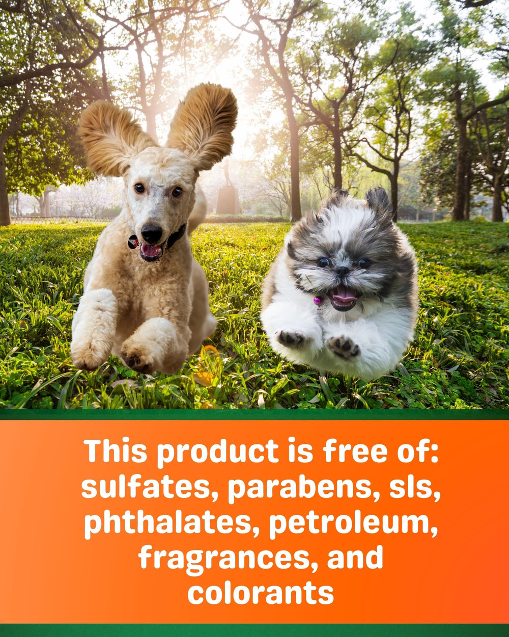 Pet MasterMind coat after use shows smoother, healthier-looking fur