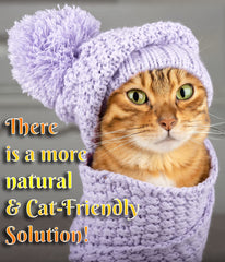 Unscented Fluffy Feline spray ideal for sensitive cats.