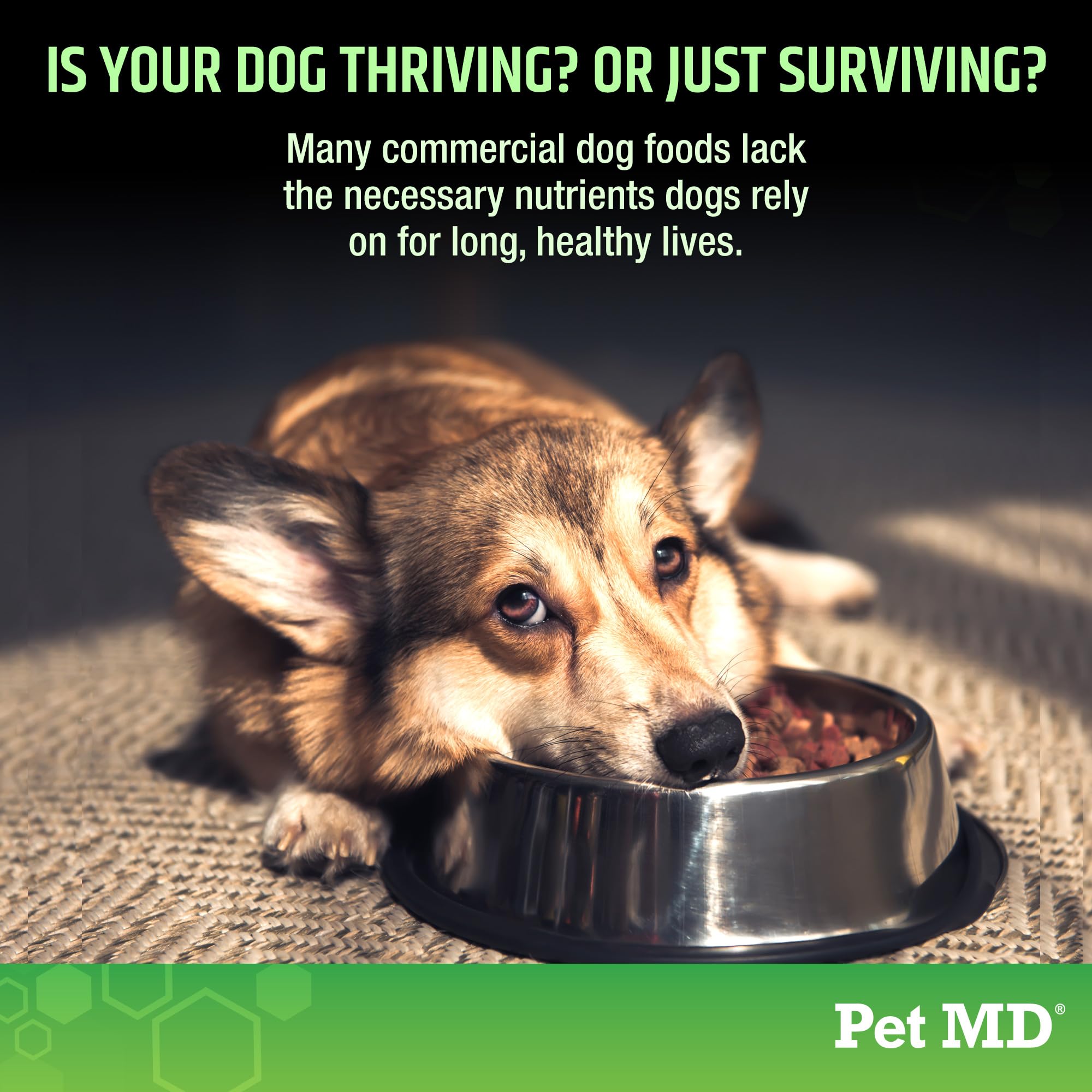 Pet MD 5in1 joint-support design promotes comfortable movement.