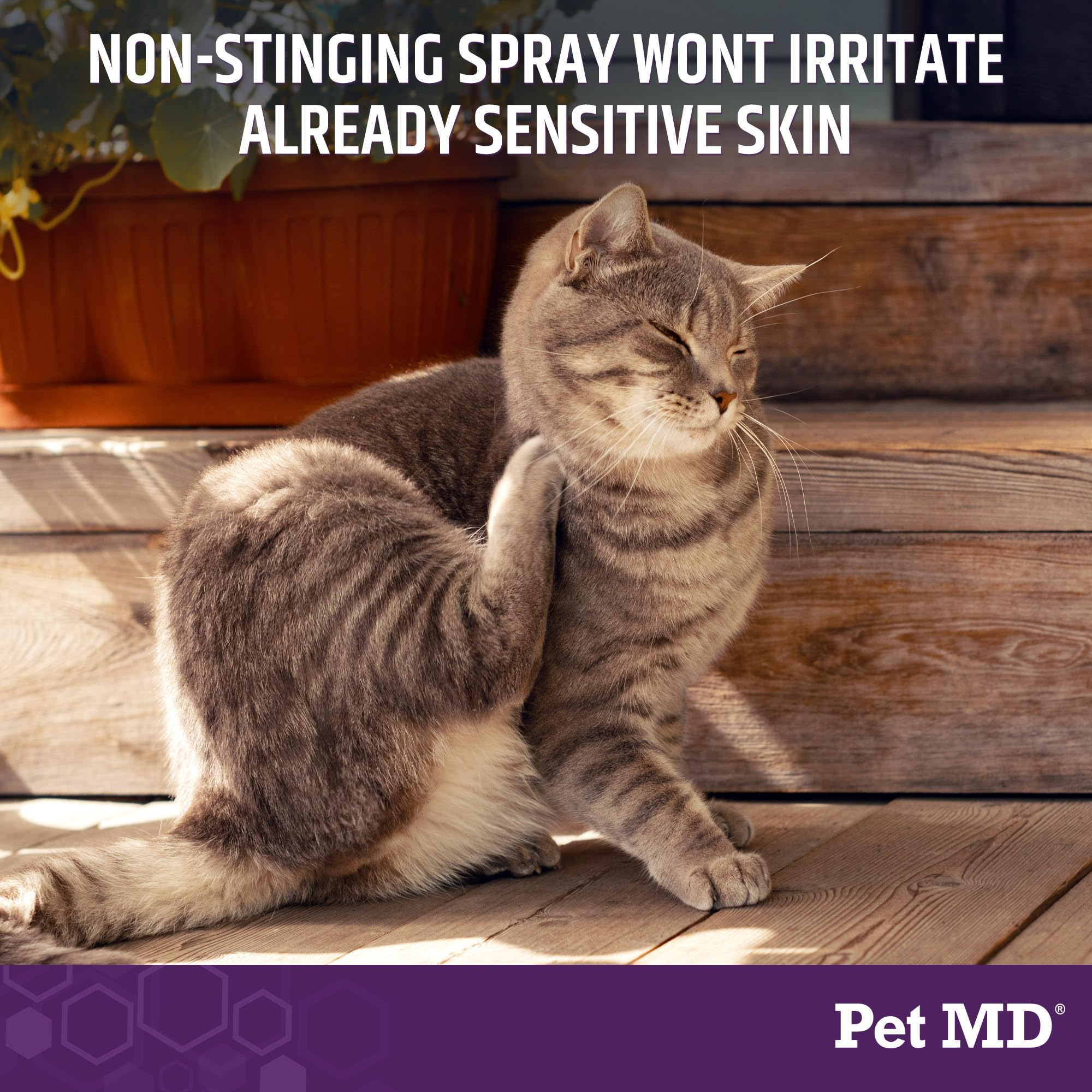 Pet MD All-in-One Derm Care on cat highlights wound and skin support.