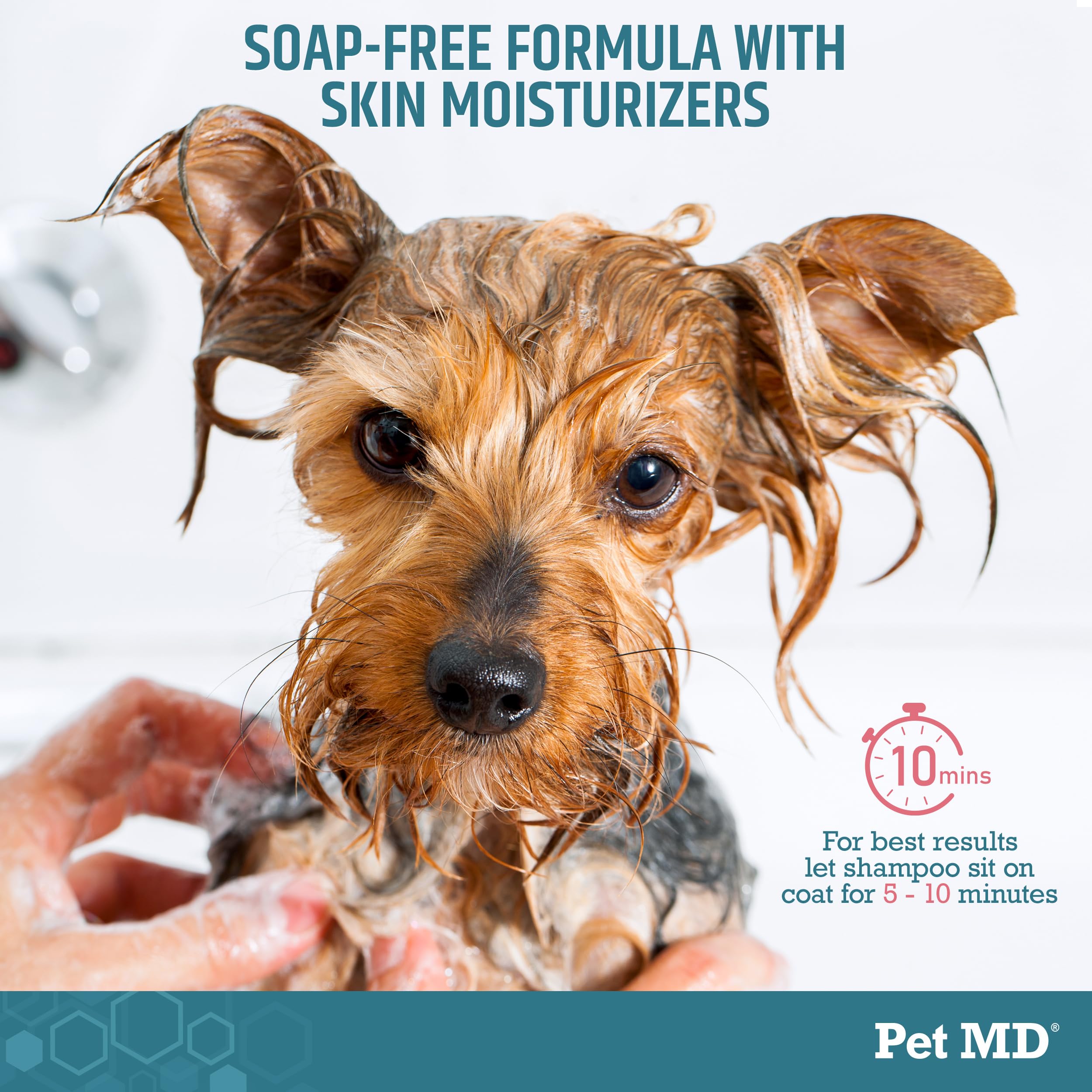 Pet MD benzoyl peroxide shampoo foaming action demonstrates degreasing power