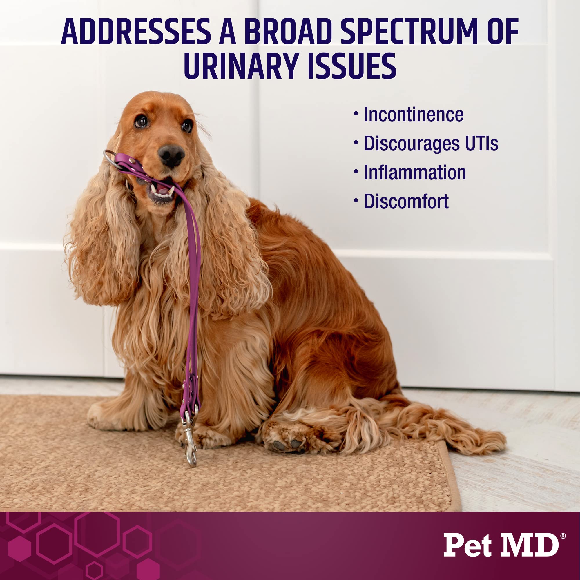 Pet MD Bladder Support Plus Cranberry for dogs aiding bladder control and daily comfort