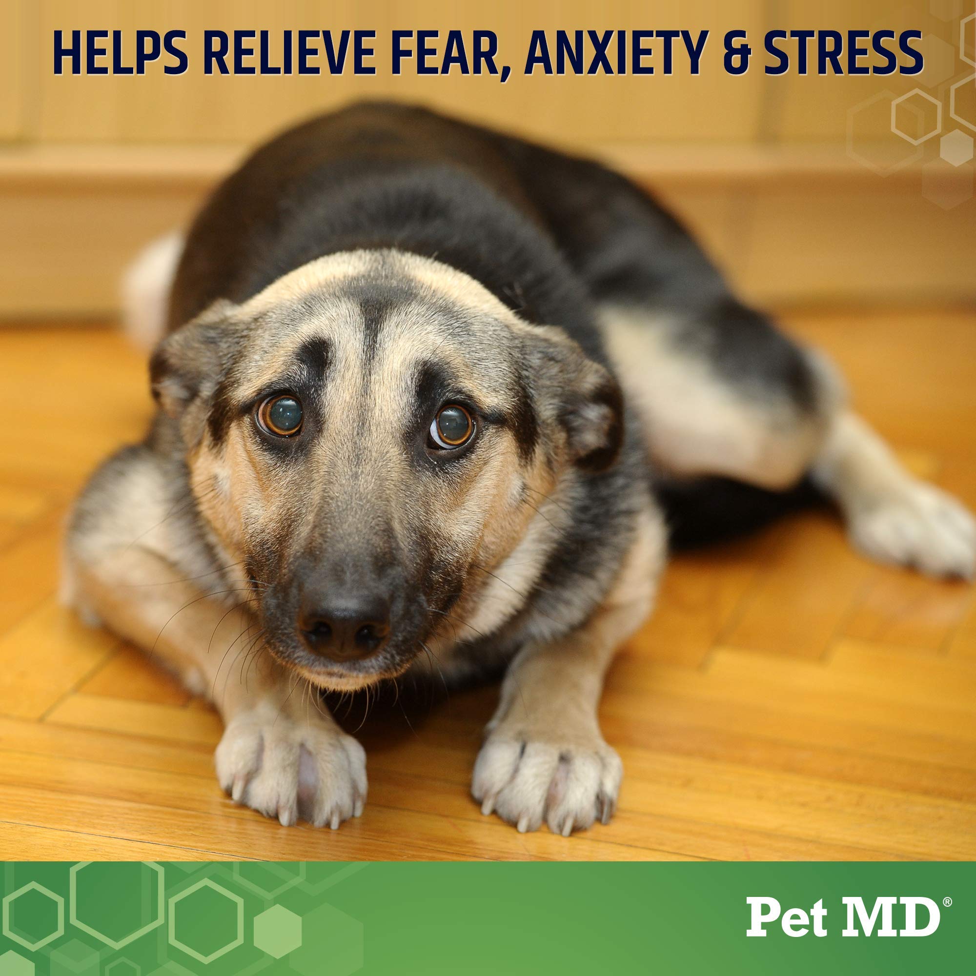 Pet MD Calming Chews close-up of chews highlighting natural ingredients for relaxation.