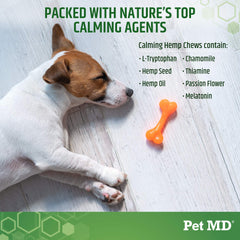 Pet MD Calming Chews dog in car, suggesting a stress-free ride.