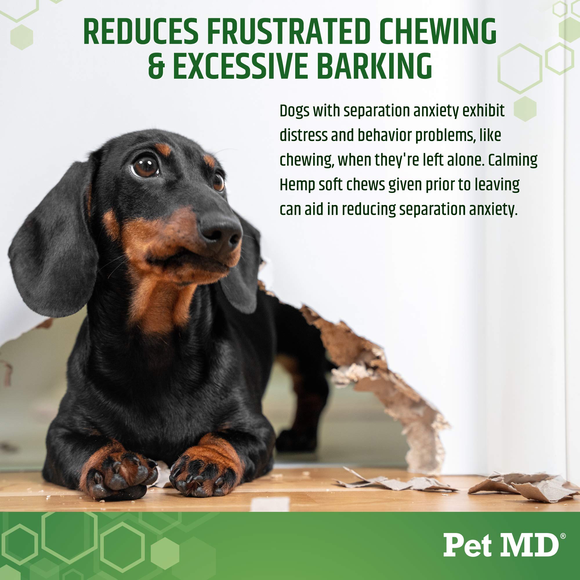 Pet MD Calming Chews dog during separation, offering a calmer arrival.
