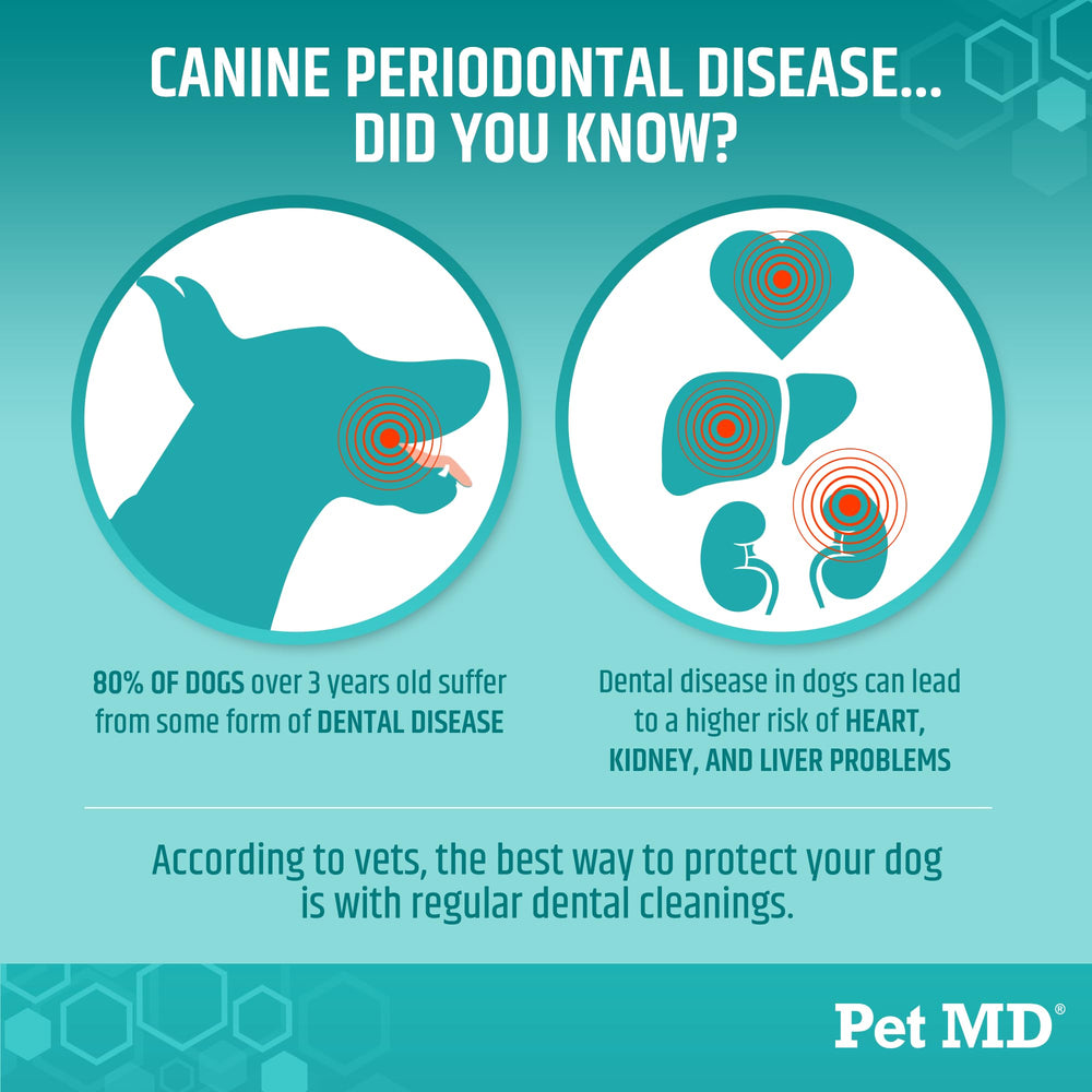 Pet MD wipes bottle packaging highlighting apple mint scent.