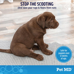 Pet MD EZ Gland pumpkin-and-fiber image, highlighting routine bowel support.