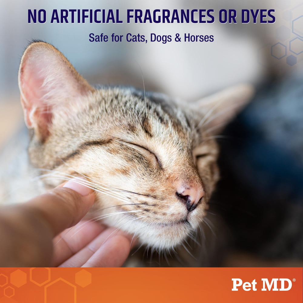 Pet MD Hydrocortisone Spray applied to a cat for dermatitis relief.