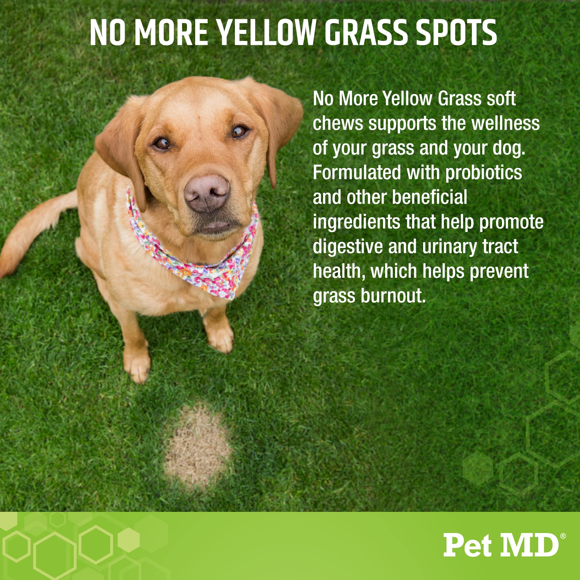 Pet MD Lawn Aid Chews on the lawn showing urine neutralizer benefits for turf.