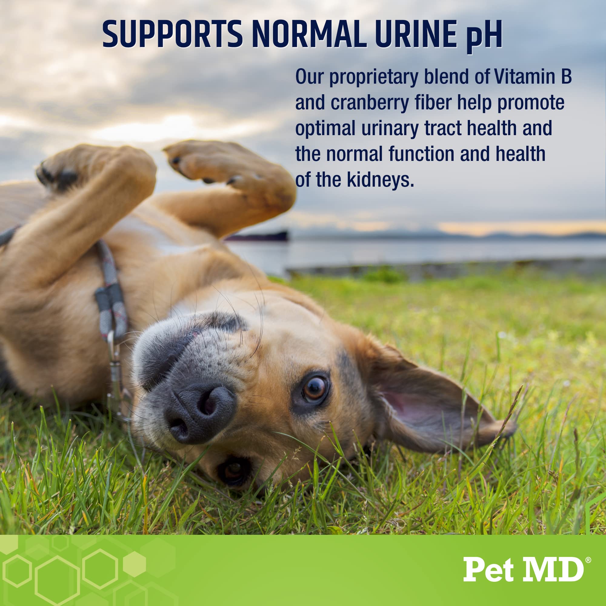 Pet MD Lawn Aid Chews grass repair after two weeks of use.
