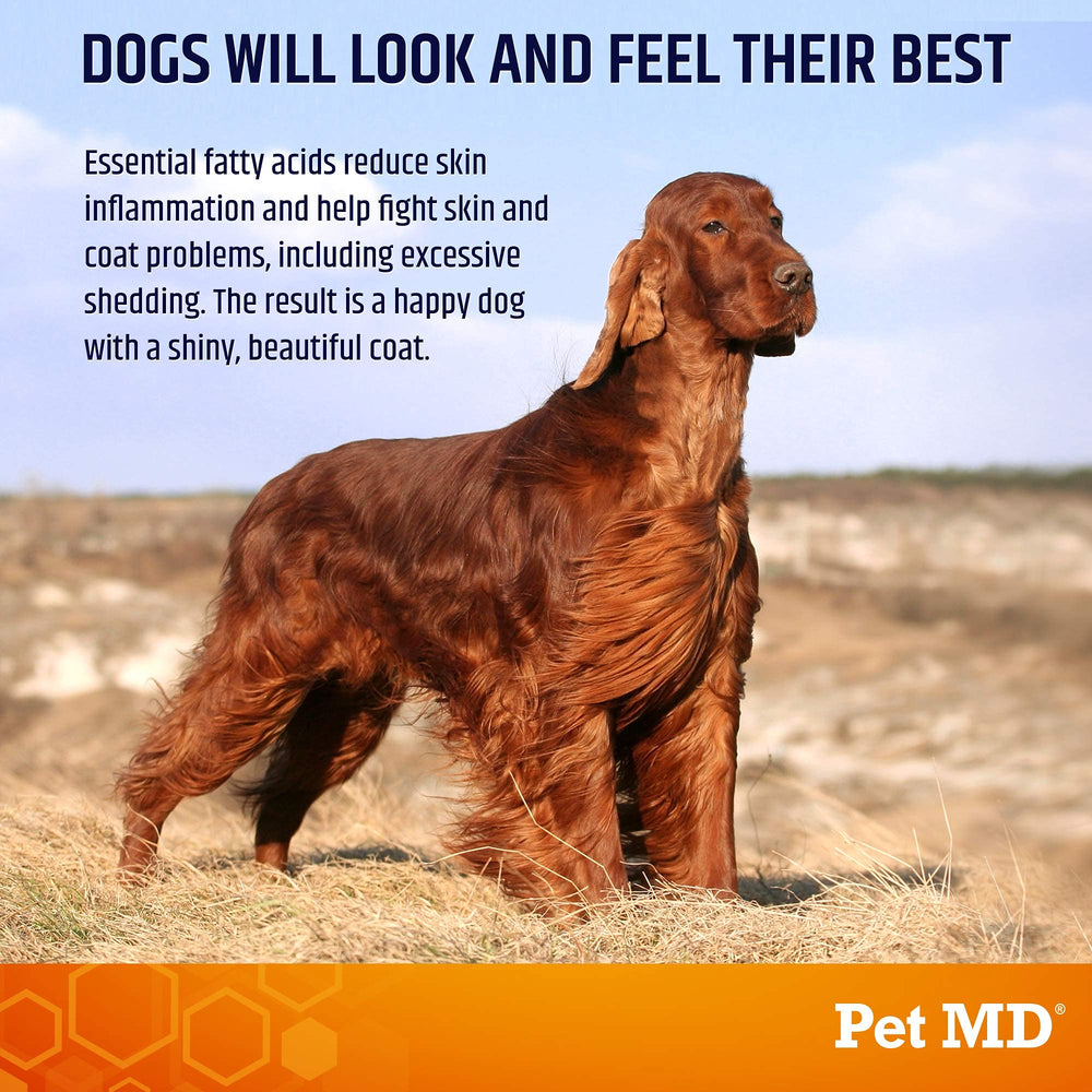 Pet MD Salmon Omega Bites coat-shine for dogs with daily omega support.