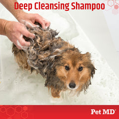 Pet MD shampoo for cats: soothing skin and subtle freshness