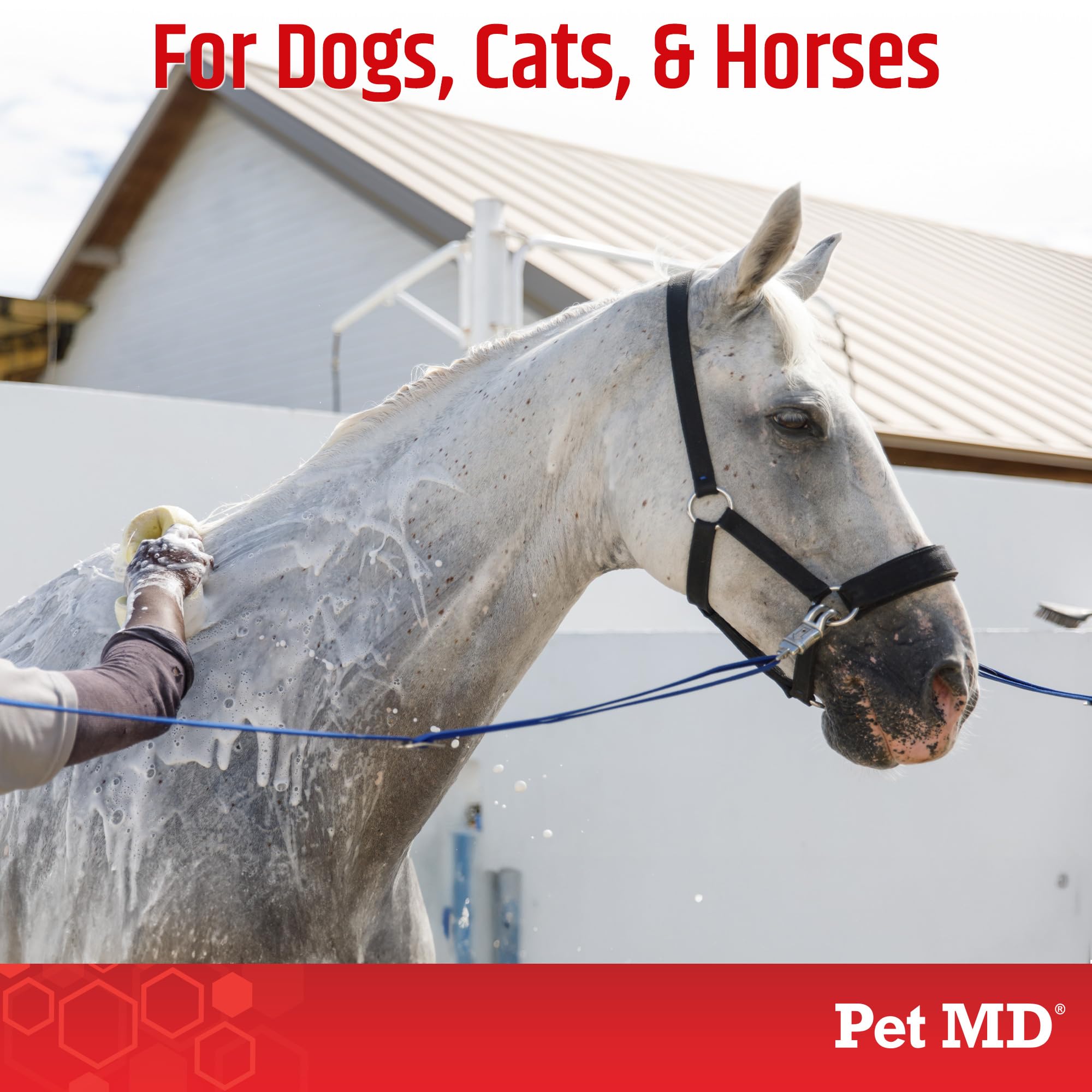 Rich lather from Pet MD topical shampoo for thorough cleansing