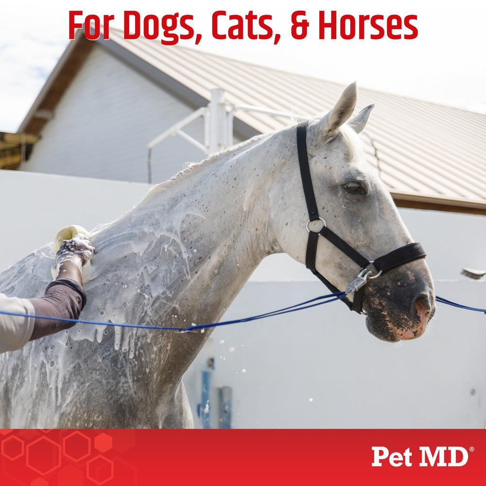 Rich lather from Pet MD topical shampoo for thorough cleansing
