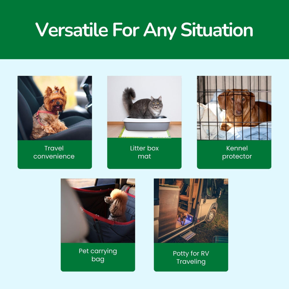 Pet N Pet car seat protection pad for travel and on the go