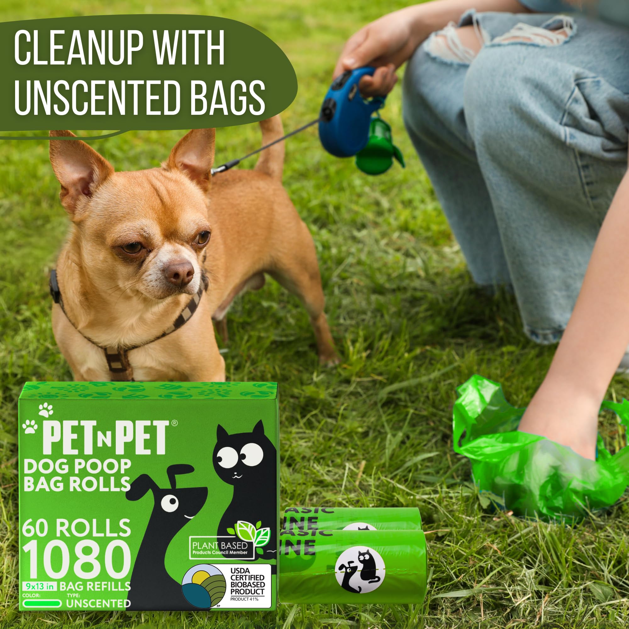 PET N PET daily walk cleanup ready for everyday adventures.