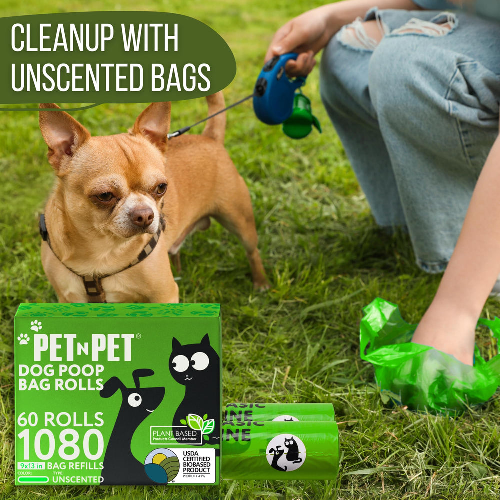 PET N PET daily walk cleanup ready for everyday adventures.