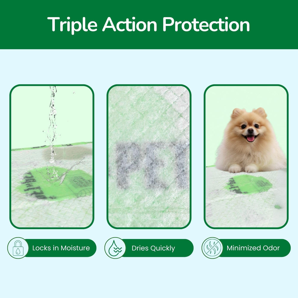 Pet N Pet leak-proof dog pad to prevent leaks and messes