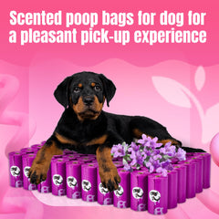 PET N PET thick leak-proof poop bags for mess-free handling
