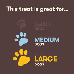 Pet 'n Shape beef bone, dog-chewer action shot, helps satisfy natural chewing instincts