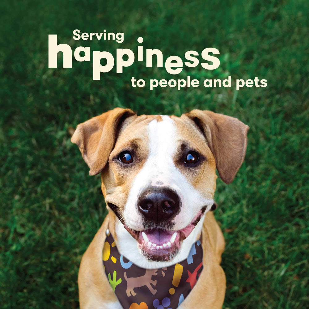 Pet 'n Shape beef bone pack, all-natural, no artificial additives or colors