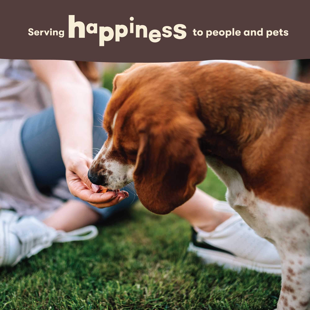 Pet 'n Shape Beef Lung Chunx serving pieces ideal for puppies and seniors.
