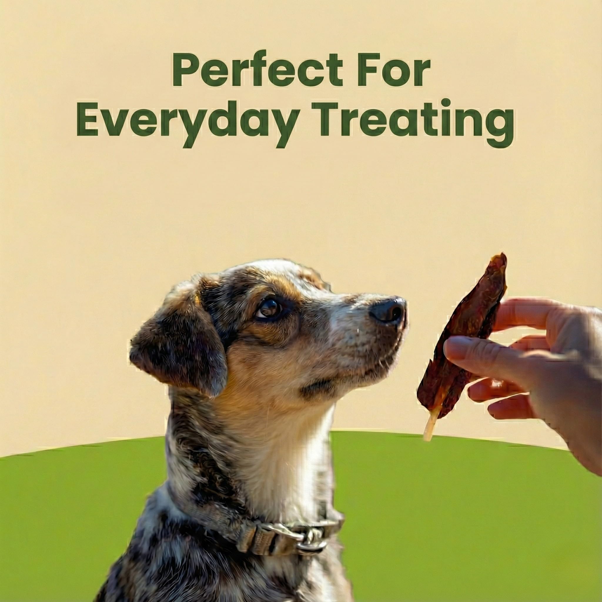 Pet 'n Shape Chik 'n Skewers grain-free recipe with no wheat, corn, or soy