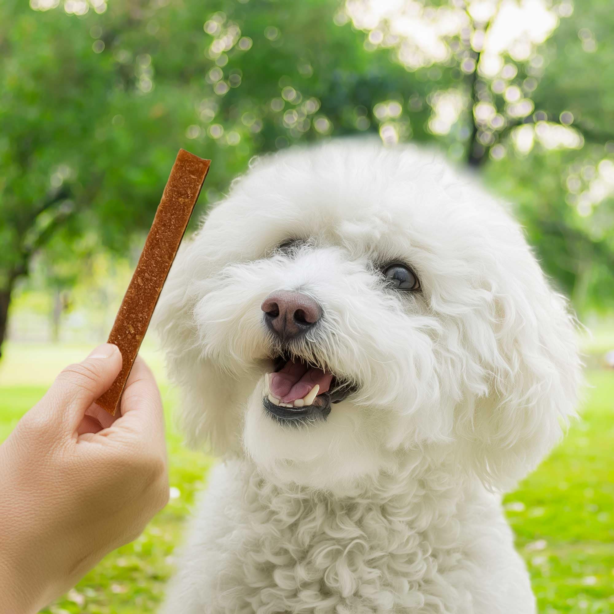 Pet 'n Shape Lamb Strip wheat-free, corn-free, soy-free ingredient list.