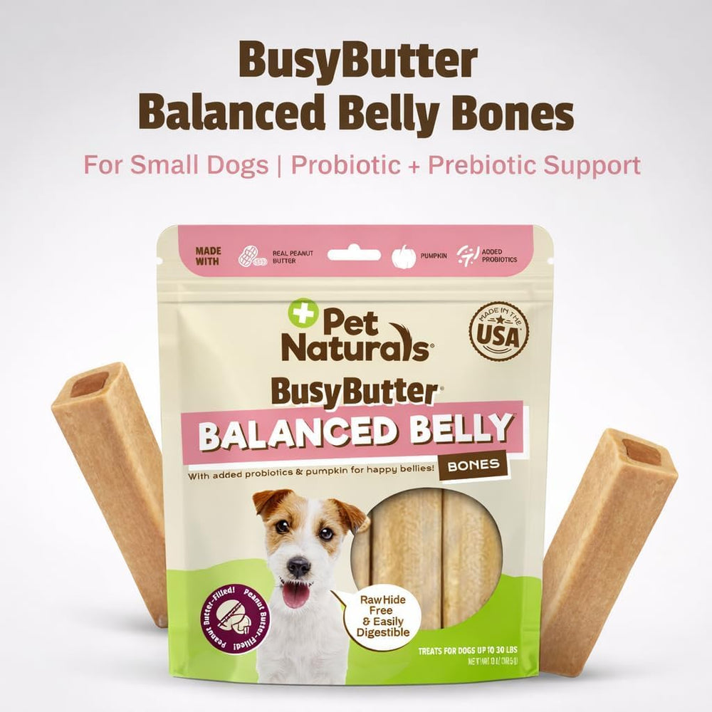 Dog enjoying BusyButter chew in a cozy home setting.