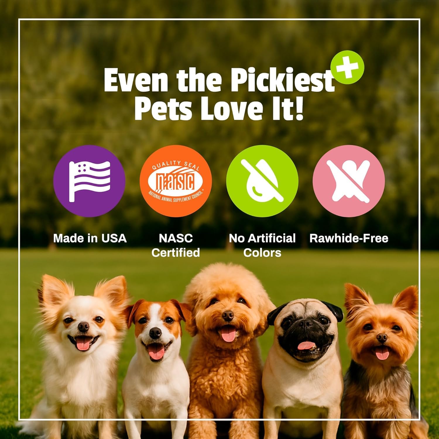 Two size options shown for small to large dogs.