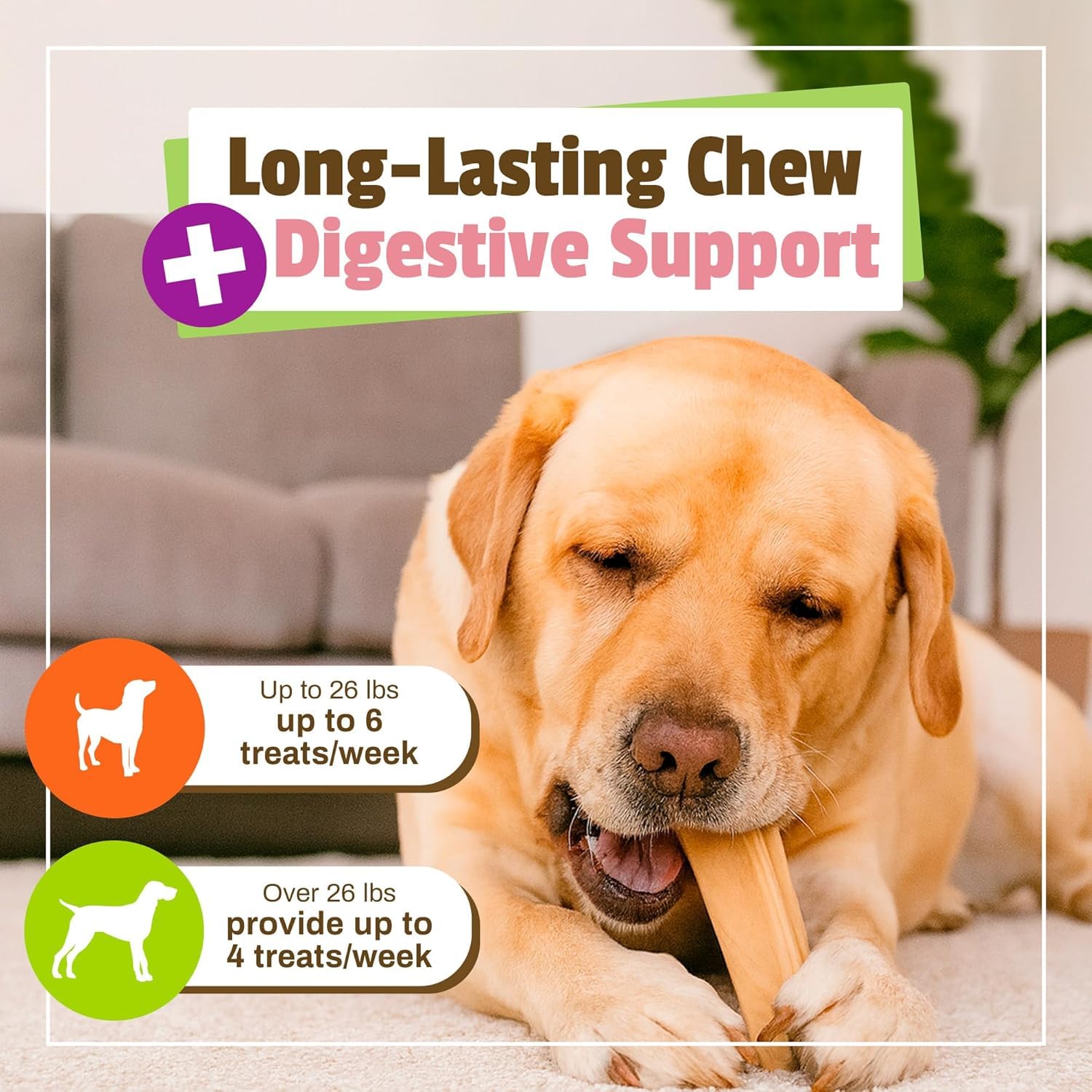 Pet Naturals BusyButter Gut Health Bones featuring probiotic and pumpkin blend.