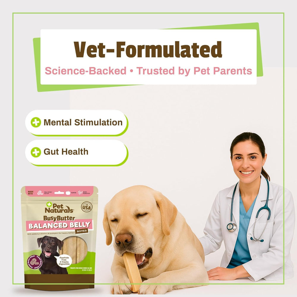 Pet Naturals BusyButter Long-Lasting Chews shown for busy dogs with a satisfying bite.