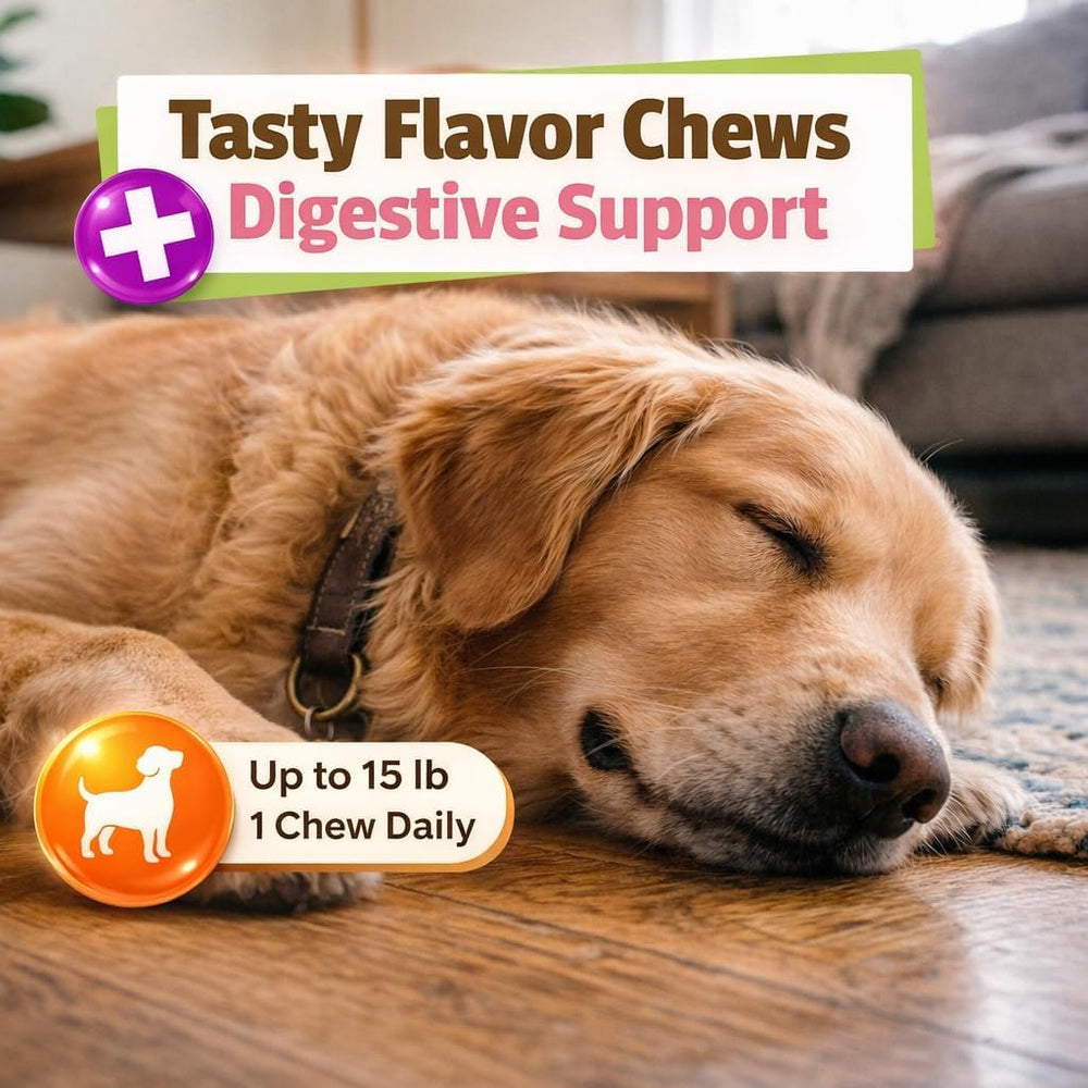 Pet Naturals Calming Chews soft chews texture close-up.