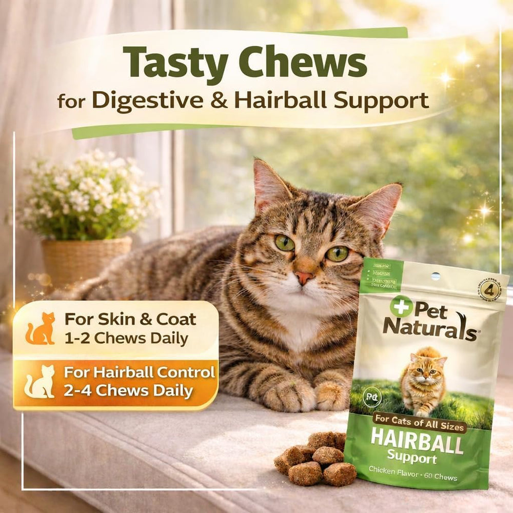 Pet Naturals Hairball Chews highlighting skin and coat health benefits