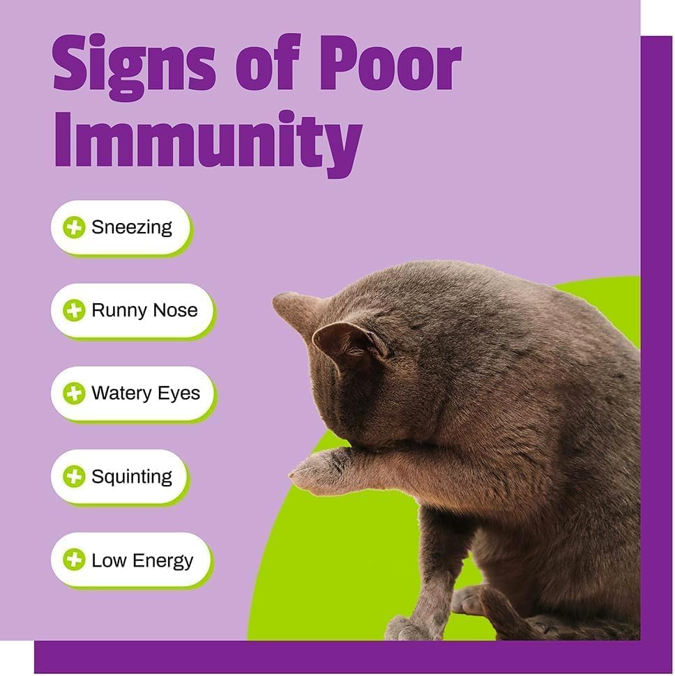 Pet Naturals Lysine Soft Chews are grain-free, suitable for cats with sensitive digestion.