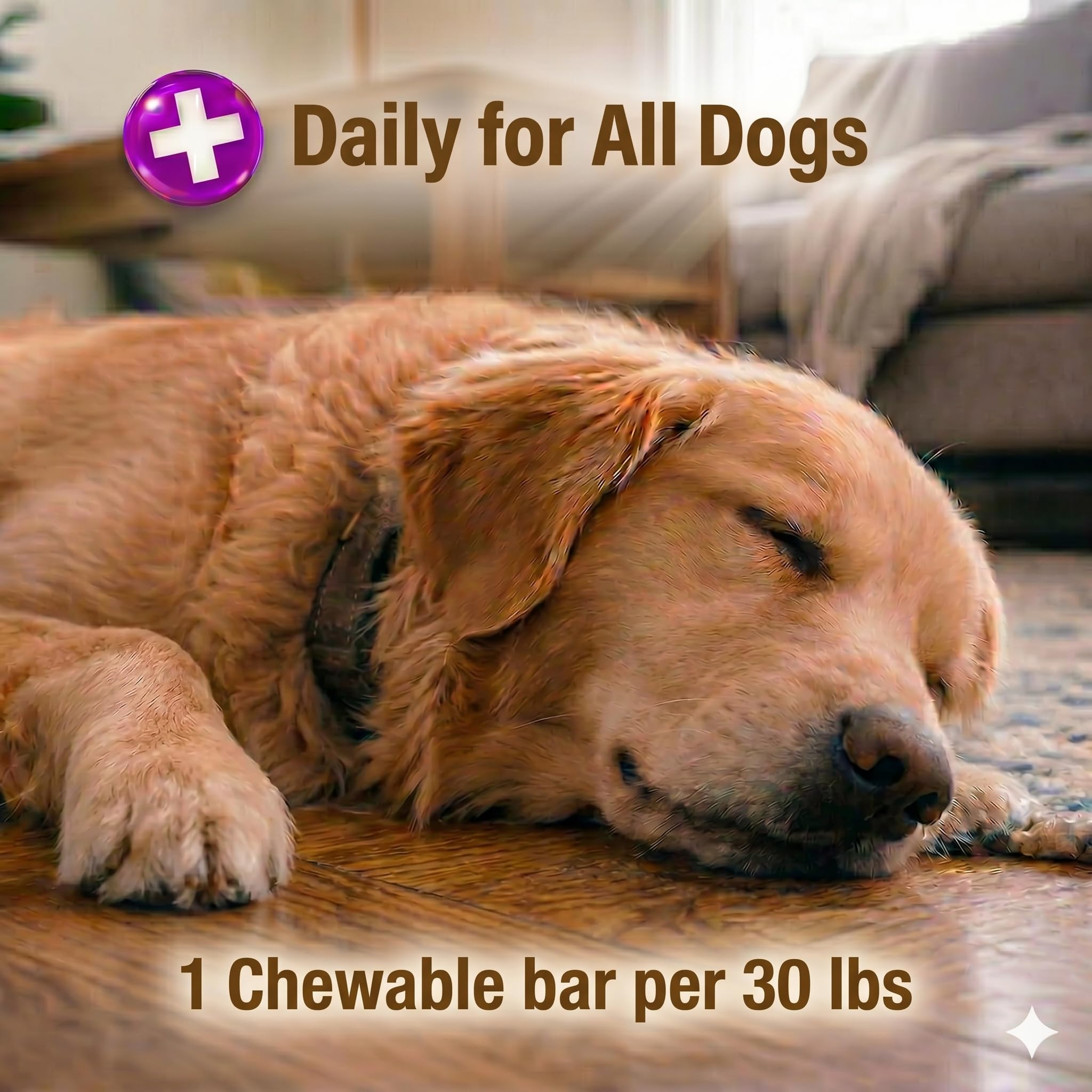 Pet Naturals Scoot Bars for dogs, easy daily fiber for stool quality