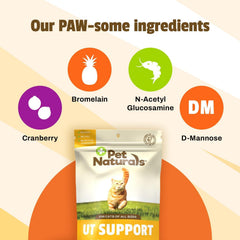 Close-up of chicken flavor UT Support chews for finicky cats.