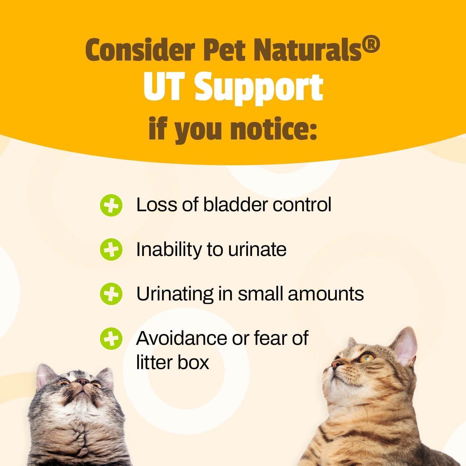Pet Naturals UT Support cranberry and D-Mannose ingredients for urinary balance in cats.