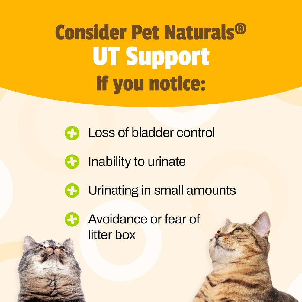 Pet Naturals UT Support cranberry and D-Mannose ingredients for urinary balance in cats.