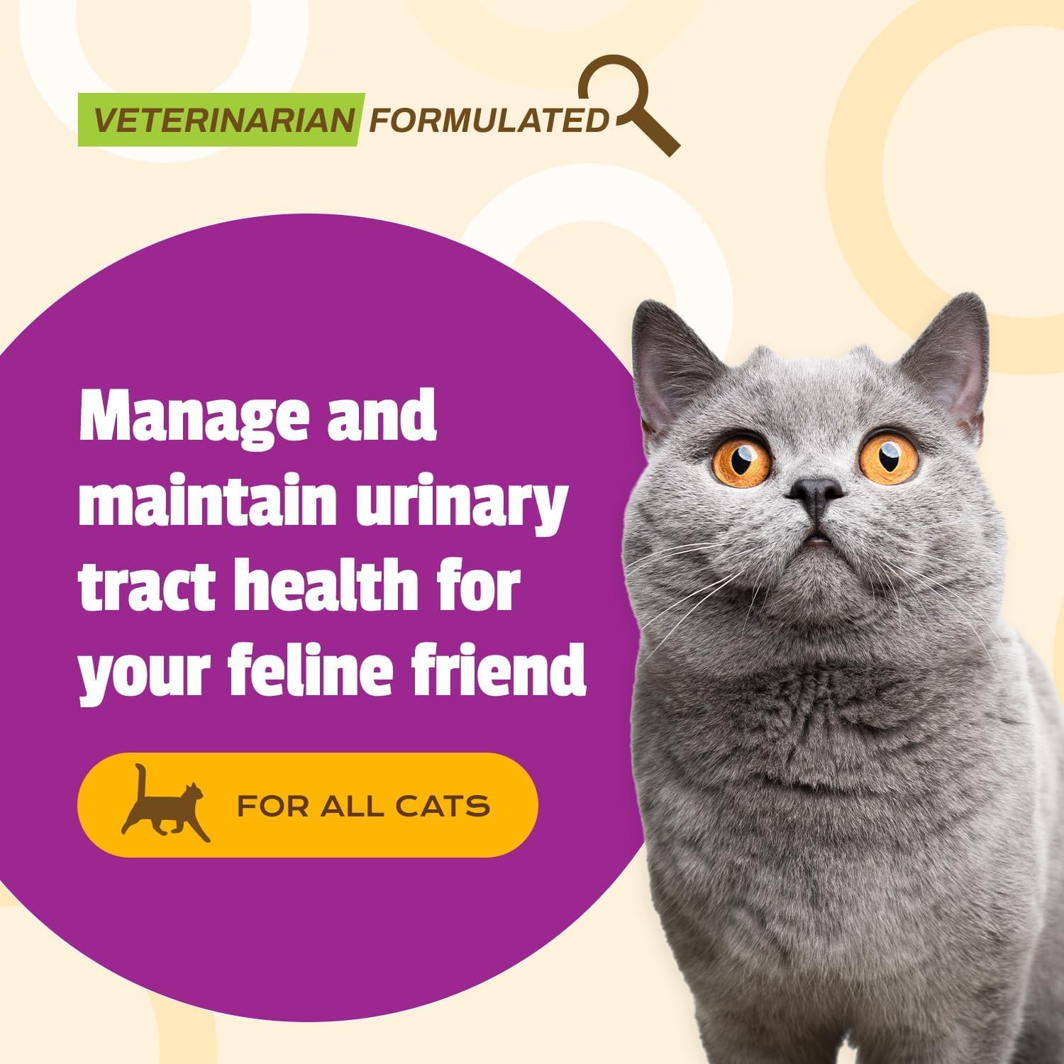 Pet Naturals UT Support soft chews in chicken flavor for cats.