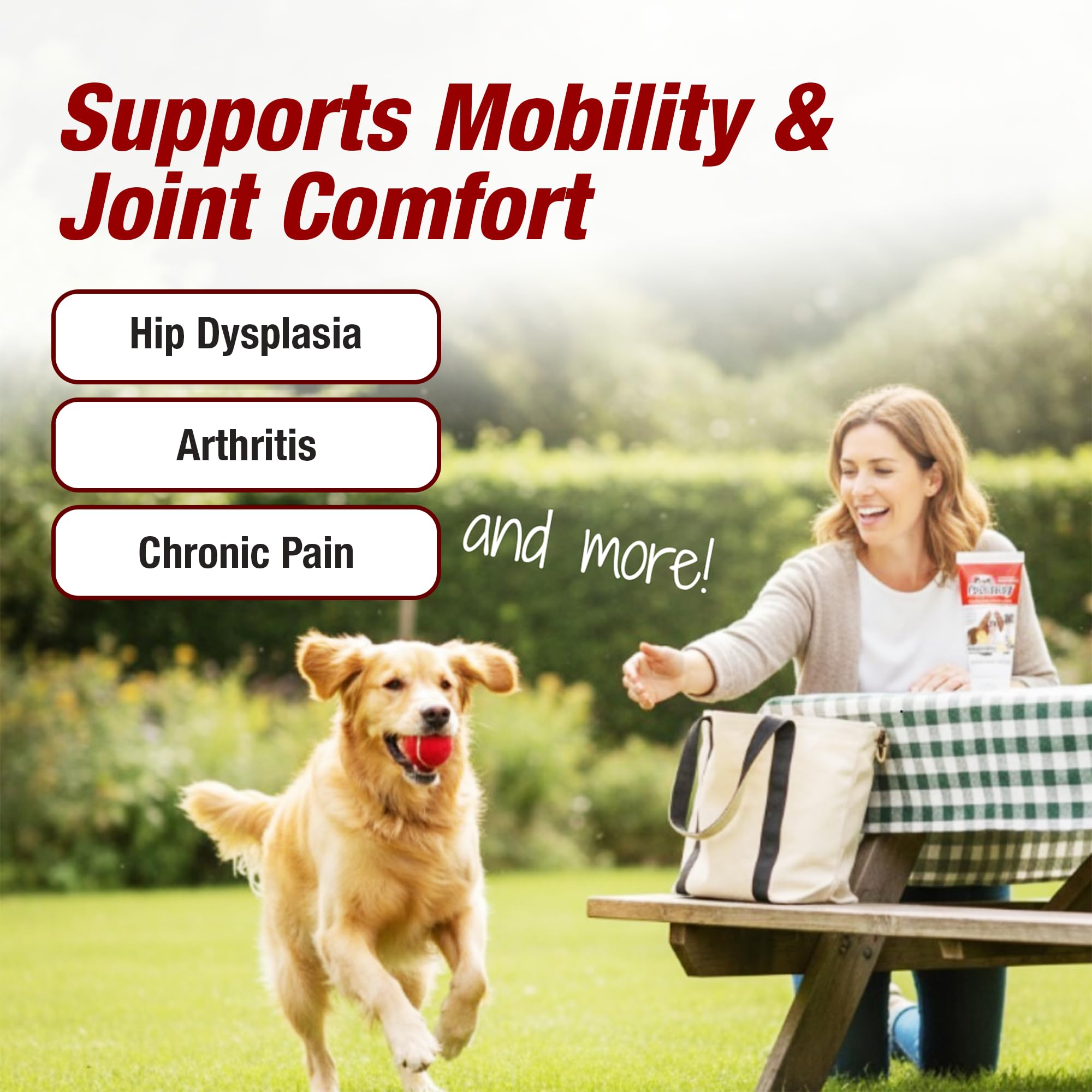 Pet Pain-Away cat pain relief illustration highlights joint comfort for mobility.